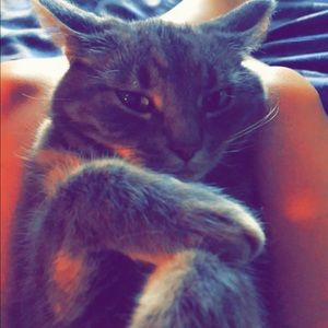 Meet your Posher, Madelyn